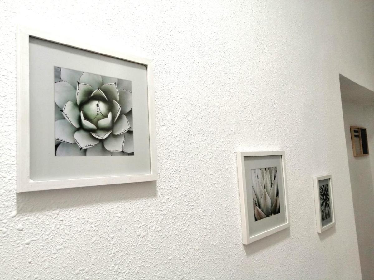 Room In The Center Of Alicante! ภายนอก รูปภาพ